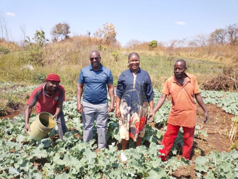 Transforming Lives Through Climate Smart Agriculture in Meheba! 